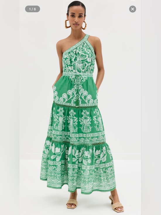 FARM Rio Dresses & Skirts - Farm Rio Sweet Garden Maxi Dress-S